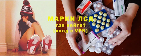 ПСИЛОЦИБИНОВЫЕ ГРИБЫ Заволжье