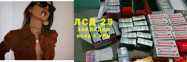 индика Заволжск