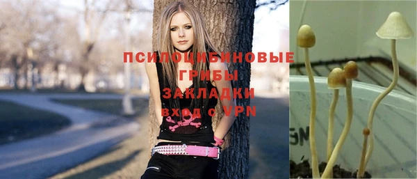 индика Заволжск