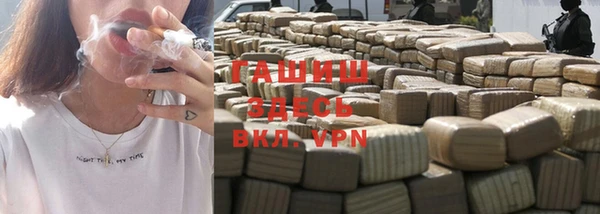 индика Заволжск
