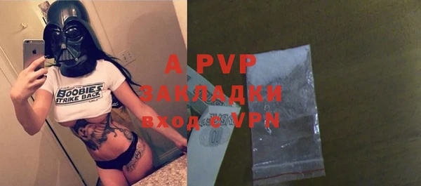 ПСИЛОЦИБИНОВЫЕ ГРИБЫ Заволжье