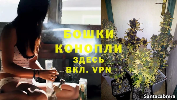 ПСИЛОЦИБИНОВЫЕ ГРИБЫ Заволжье