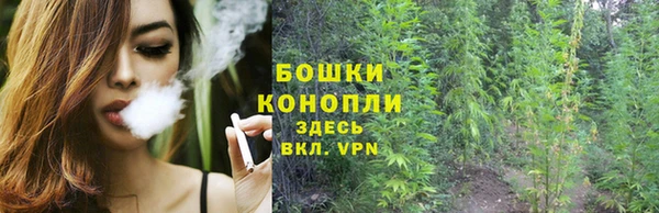индика Заволжск