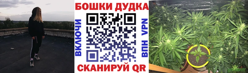 Канабис индика Исилькуль